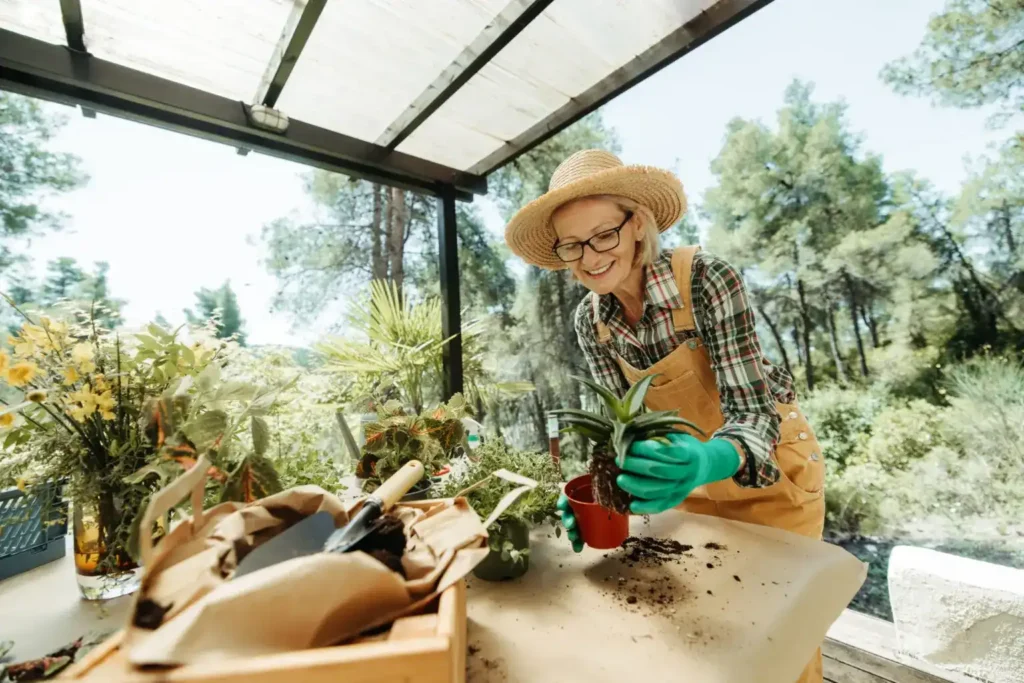 iStock 2223237828 1536x1025 3 1 4 1