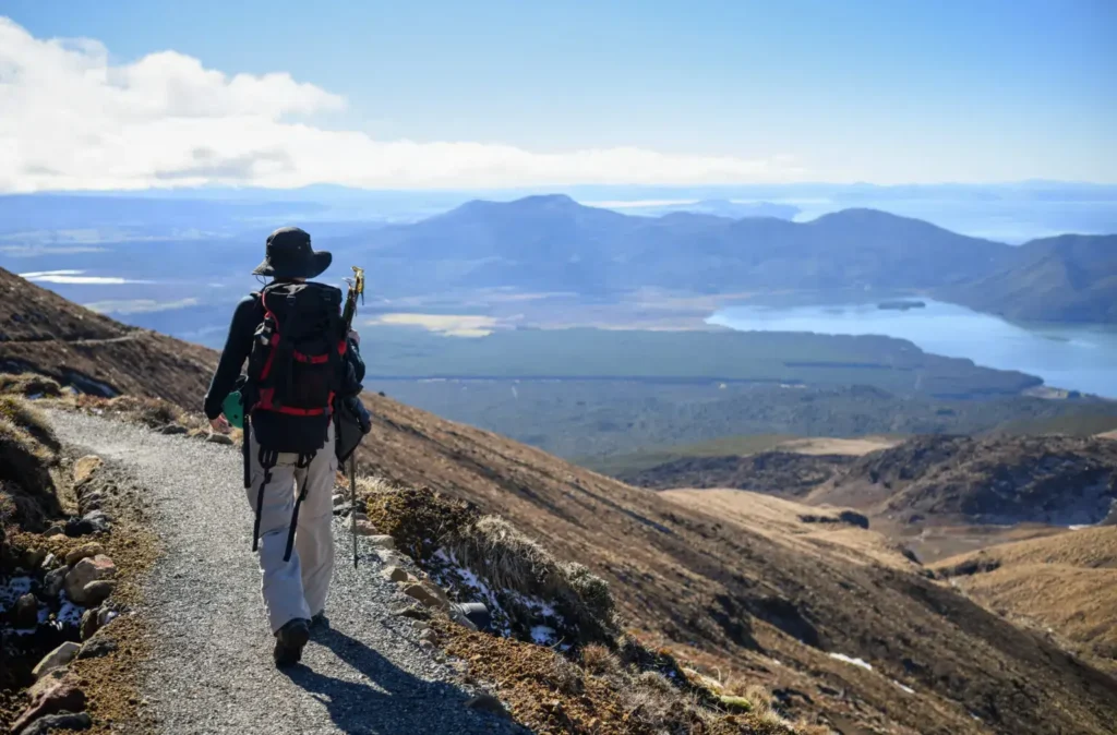 iStock 2231248653 1536x1011 2 2 2